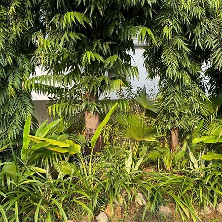 The Bougainvillea Cottage Farmstay Near Dehradun , 2 Bedroom Private Cottage Next To Fields And Orchards With Hill Views Exterior photo
