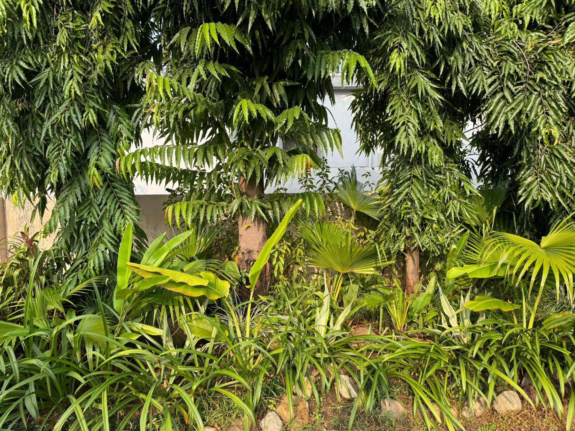 The Bougainvillea Cottage Farmstay Near Dehradun , 2 Bedroom Private Cottage Next To Fields And Orchards With Hill Views Exterior photo